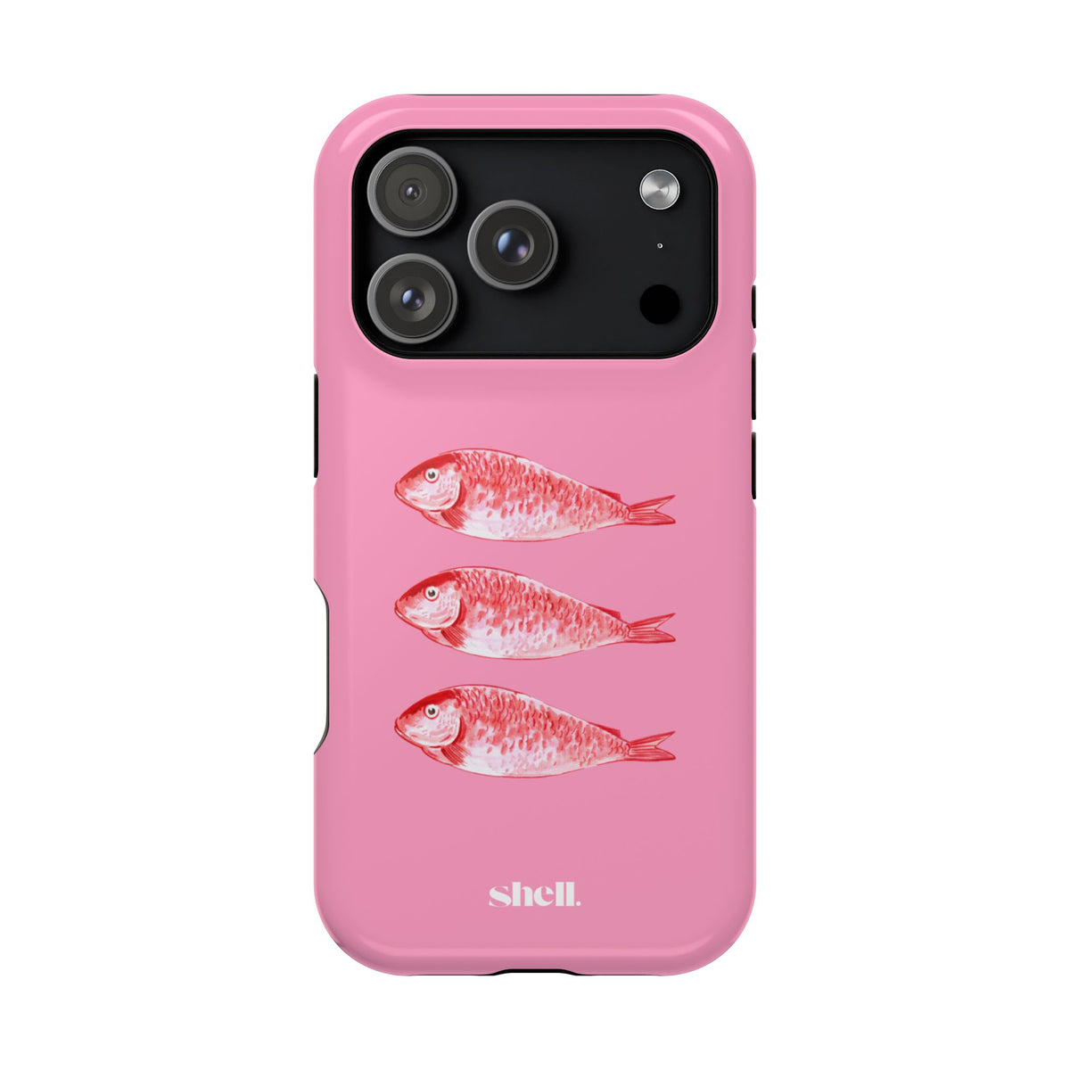 Sardines Shell