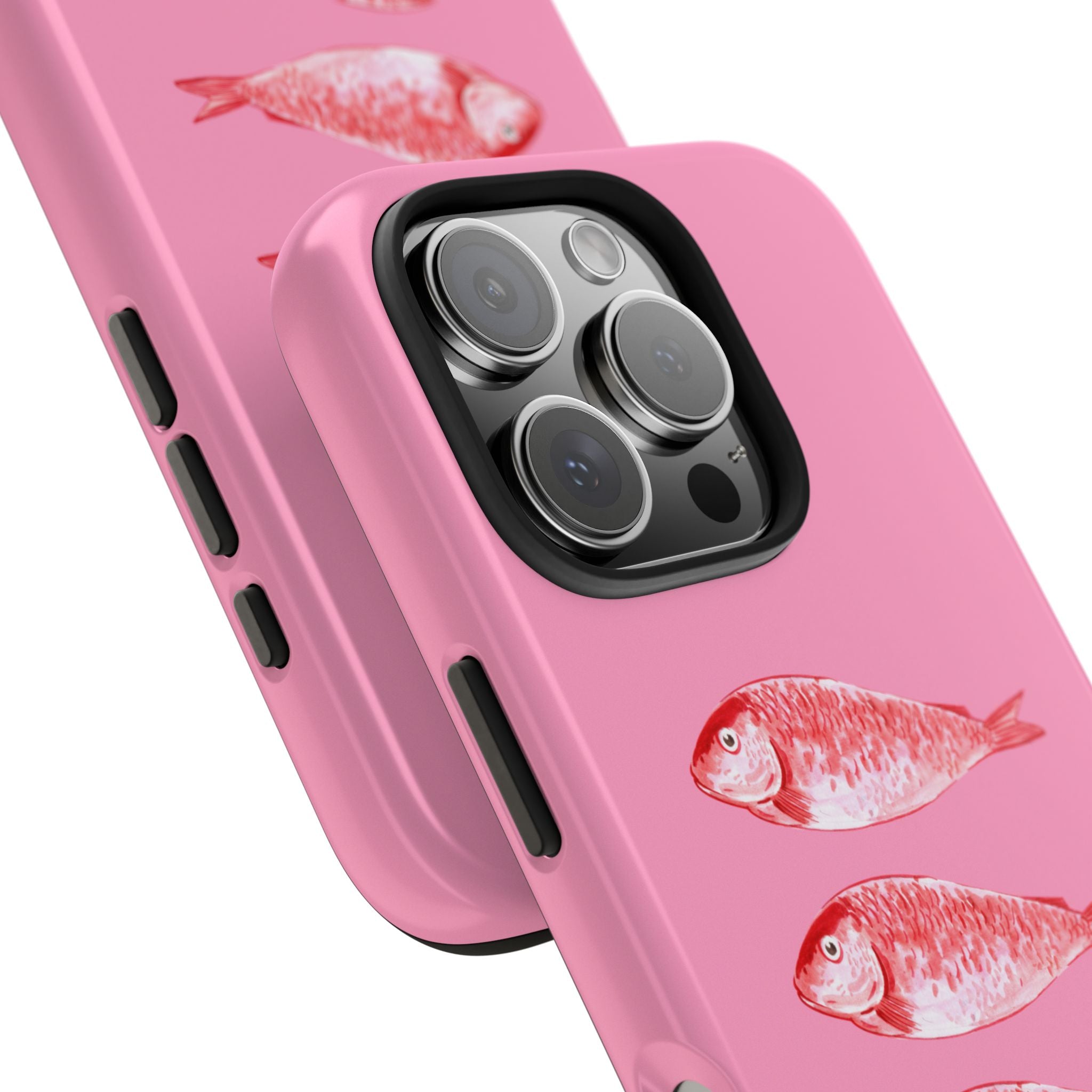 Sardines Shell